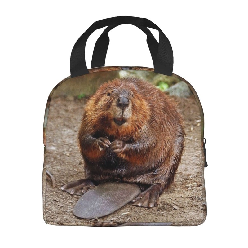 Larklitz Cute Funny Beaver Reusable Insulated Lunch Bag, 8.5in x