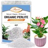 Riare 4 Quarts Organic Perlite for Plants - Horticultural Perlite