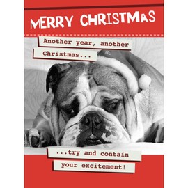Another Year Another Christmas - Funny Christmas Card For Friends Or Family