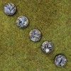 War World Gaming 25 mm Round Fantasy Forest Bases x10