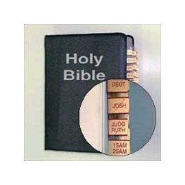 NaviTabs Bible Index Organization Tabs (Burgundy/Gold)