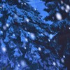 Christmas Tapestry Exquisite Christmas Tree Pattern Wall Hanging Blanket for