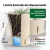 Happy Plants Orchid Pot D 14.7 cm Flower Pot with