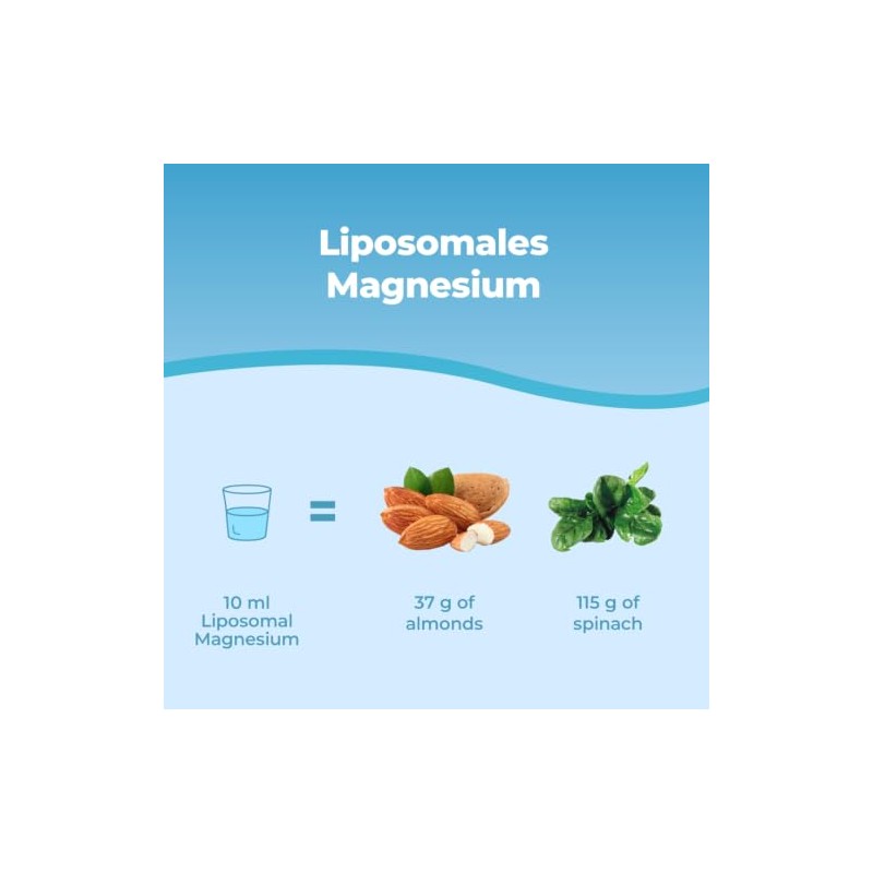 Bandini® Liposomal Magnesium Liquid | High Strength & Bioavailability