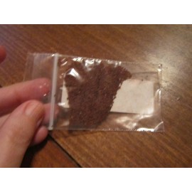 1000 SNOW IN SUMMER Flower Seeds Perennial Flowering Groundcover Chickweed