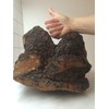 Chaga Mushroom Coarsely Ground Wild Collected Gently Dried Vegan Brochure