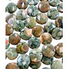 Unbranded Rhyolite 20mm Coin Beads 15.5" Str Rainforest Jasper Australia