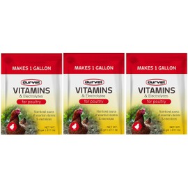 Durvet 3 Pack of Vitamins and Electrolytes for Poultry, 5 Grams, Makes 3 Gallons