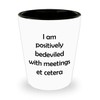 ODDITEES Funny Pop Culture Shot Glass I Am Positively Bedeviled