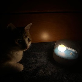 ANJOGIFT Elegant Moon Sea and Snow Mountain LED Night Light Lamp USB Type-C Rechargeable, Brightness Adjustable, Two Mode can be Switched, Ideal Bedroom Mood Light and Gift