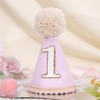 Agvgaza Classic Plaid 1st Birthday Hat - First Party Cone