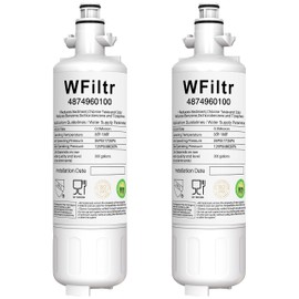 WFiltr 4874960100 Replacement for Beko Refrigerator Filter 4874960100 (2 Pack)