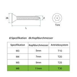 QUARKZMAN Pack of 60 Countersunk Torx Screws M6 x 16 mm Torx Wood Screws 304 Stainless Steel Security Screws with Bit T30, Self-Tapping, Anti-Theft for Wood, Mechanical Engineering (Silver)