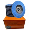 Flap Discs 125 | Mix Pack Grain 40-320 | Sanding