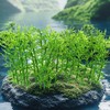 Pack of 40 Model Trees Miniature Model Miniature Bamboo Trees