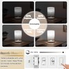 NOVELUX 3.2 Inch 5000K Daylight White E26 LED Bulb 60