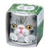 Seishin Ceramics GD-102904 Ochokokode Cat Grass Gray Size: Approx. φ1.7