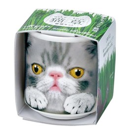 Seishin Ceramics GD-102904 Ochokokode Cat Grass Gray Size: Approx. φ1.7 inches (4.3 cm), H1.8 inches (4.8 cm)
