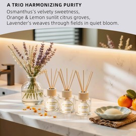 Binca Vidou Reed Diffuser Set, Lavender Osmanthus Orange & Lemon Natural Scent Oil Diffusers with Sticks for Home Office Bathroom Aromatherapy Decor 1.69oz x 3