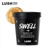 Rush [Lush] Swell 600g - Shampoo / [러쉬]스웰 600g - 샴푸