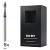 BESSIE Leabit Diarybus XF nail bits, 5 pieces, silver / BESSIE 리아비트 다이아리버스 XF 네일비트, 5개, 실버