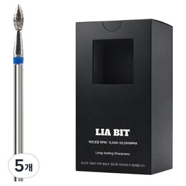 BESSIE Leabit Diarybus XF nail bits, 5 pieces, silver / BESSIE 리아비트 다이아리버스 XF 네일비트, 5개, 실버