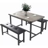 Jojoka Dining Set Table and 2 Upholstered Bench Wood Top