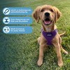 Best Pet Supplies Voyager Step-in Air Dog Harness, All Weather