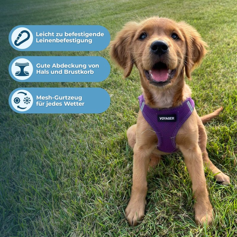 Best Pet Supplies Voyager Step-in Air Dog Harness, All Weather