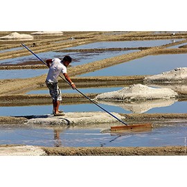 PEUGEOT 29920 Oleron Wet Salt Mill Acrylic 6 x 6 x 14 cm Natural