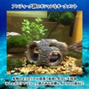 Charmoon Aquarium Object Driftwood Hideaway Shelter Aquarium Ornament Realistic Figurine