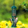 Brome Squirrel Resistant Nut Feeder with Peanut Splits Package
