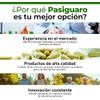 CLOROFILA FRESCA PREMIUM - Suplemento alimenticio con Clorofila.2 frascos con