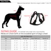 Bossdog No Pull Dog Harness and Lead Set | Anti