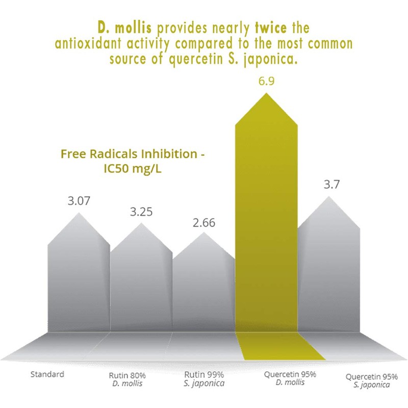 Quercetin Capsules - Naturally Derived - Maximum Antioxidant Action -