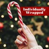 Sarah's Candy Factory Christmas Candy Canes 6 Pack (72 Pieces)