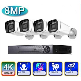 4CH 4K 8MP AHD Security Camera 8.0MP DVR Kit Color Night Vision Audio Record Mic Outdoor Video Surveillance CCTV System Full Set (2TB HDD)