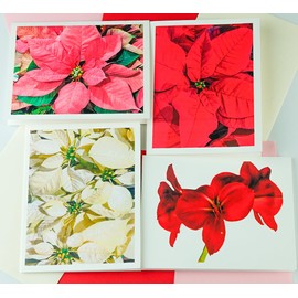 Sunshine Expressions Blooming Flowers Assorted - High End - Christmas Photographic Heavy Smooth Note Cards 24 w/26 Colored Envelopes, Boxed Set (4.25"x 5.50") Blank Inside - Made in USA