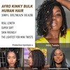 Afro Kinkys Bulk Human Hair for Dreadlock Extensions 3 Packs