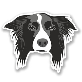 2 x 10cm/100mm Border Collie Dog Window Cling Sticker Car Van Campervan Glass #5444