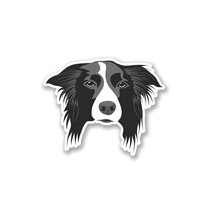 2 x 10cm/100mm Border Collie Dog Window Cling Sticker Car