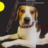 Dog Collar, Reflective Dog Collar Adjustable Dog Collar Heavy Duty