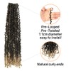 14 Inch 10 Packs Yanky Twist Crochet Hair Pre-twisted Ombre