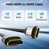 HDMI to Mini HDMI Cable 4 FT, High Speed HDMI