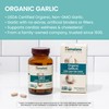Himalaya Organic Garlic, For Lipid Metabolism and Immune Support, 1,400