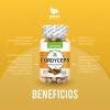Cordyceps 100 Cápsulas, Adaptogeno Calidad Premium Sabor Natural