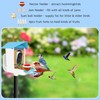 64GB Smart Bird Feeder with Camera Solar Powered, AI Identify