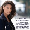 Nexxus Keraphix Champú y acondicionador y 3 máscaras de tratamiento