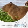 MONGAS Capybara Earrings 925 Sterling Silver Moonstone Capybara Stud Earrings