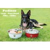 Podinor Large Dog Water Bowl 2 Pack, 170oz Stainless Steel